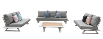 Luxe Sofa Set for 9 with Coffee Table